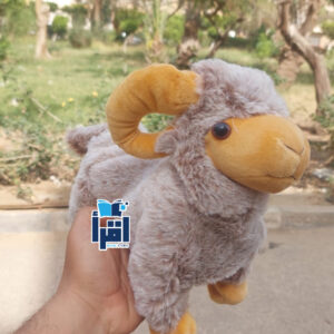 ⁦بقرة العيد الراقصة 3⁩ - الصورة ⁦1⁩